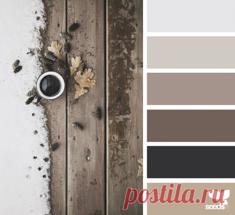 design seeds | winter tones | for all who ♥ color
