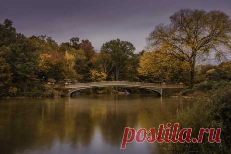 Bow Bridge in Autumn, Central Park, New York by John S / 500px