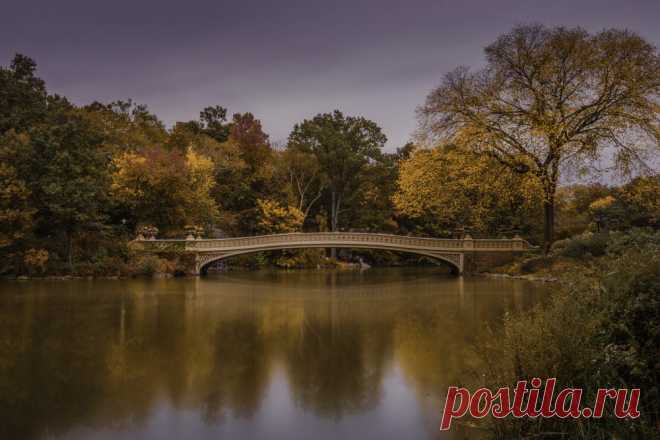 Bow Bridge in Autumn, Central Park, New York by John S / 500px