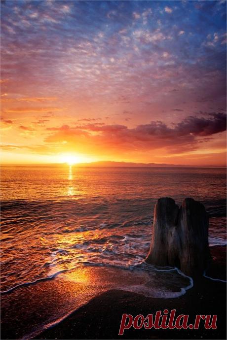 drxgonfly:
“Good Morning (by Andon Tacev)
”