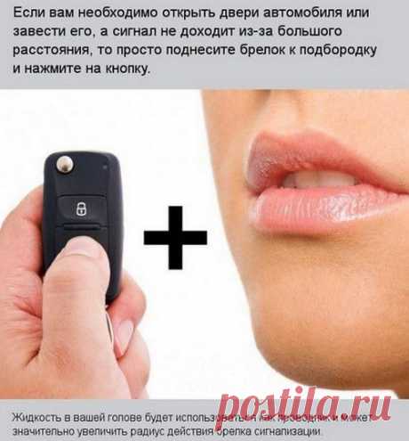 9 полезных хитростей для автомобилистов
