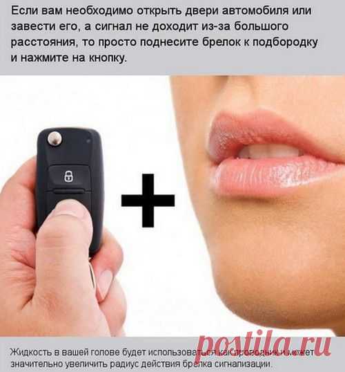 9 полезных хитростей для автомобилистов