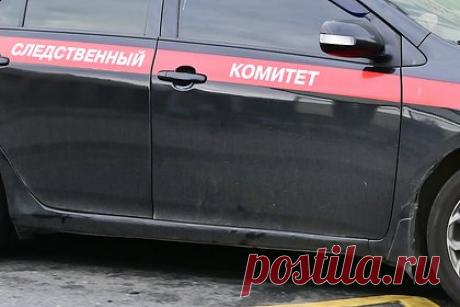 Мужчина расправился с отцом после ссоры и попал в СИЗО. В Хабаровском крае 46-летнего местного жителя задержали за расправу над отцом. 10 января мужчина поссорился с родителем в квартире дома на Портовой улице в поселке Ванино. Он взял молоток, различные предметы мебели и избил ими потерпевшего по телу. Тот не выжил. По факту произошедшего возбуждено дело.