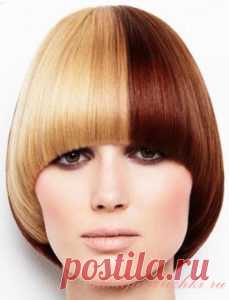 Стрижка Паж на короткие волосы | Стрижки и Прически