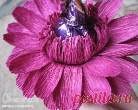 Гербера из конфет. МК.