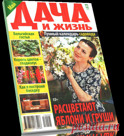 Читать журнал Дача и жизнь №5 2019 бесплатно