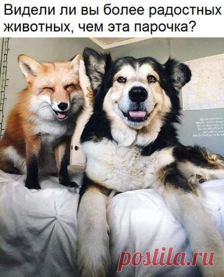 Знаете ли Вы?