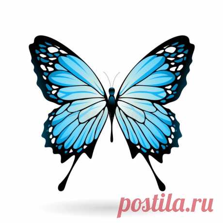 Яндекс Картинки: поиск похожих изображений