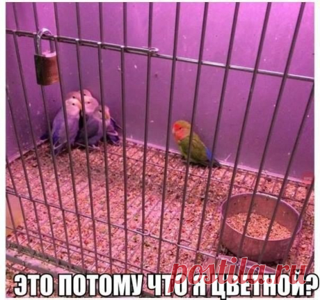 Снова прикольные картинки для вас! (37 шт)