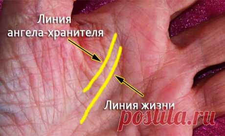 Очень мало людей имеют эту линию на ладони. И вот что она значит... 
Сегодня мы хотим рассказать вам о линии ангела-хранителя на ладони. Она встречается крайне редко, и поэтому к ней так много интереса со стороны специалистов.

Те, у кого на руке есть «линия ангела«, …