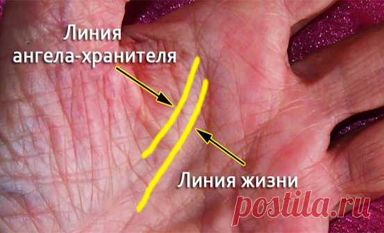 Очень мало людей имеют эту линию на ладони. И вот что она значит... 
Сегодня мы хотим рассказать вам о линии ангела-хранителя на ладони. Она встречается крайне редко, и поэтому к ней так много интереса со стороны специалистов.

Те, у кого на руке есть «линия ангела«, …