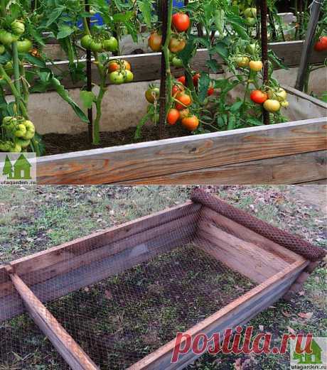 Теплые грядки | Дачная жизнь - сад, огород, дача