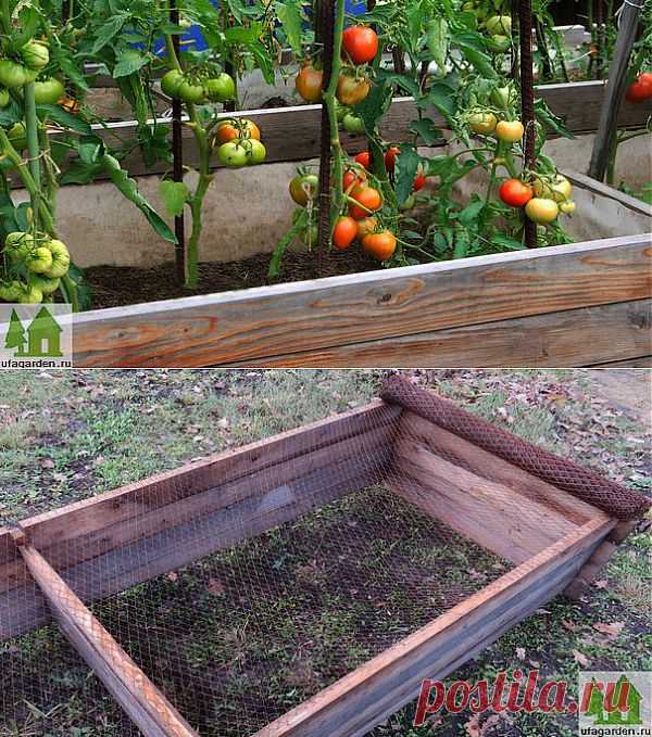 Теплые грядки | Дачная жизнь - сад, огород, дача