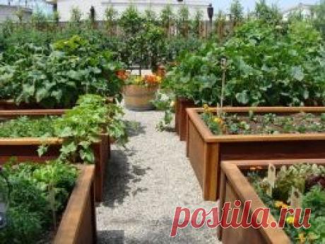 Огород без перекопок - высокие грядки - Садоводка