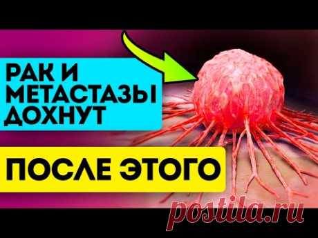 Учёные: чтобы рак и метастазы засохли, больше не появлялись - эти продукты нужно добавить в рацион