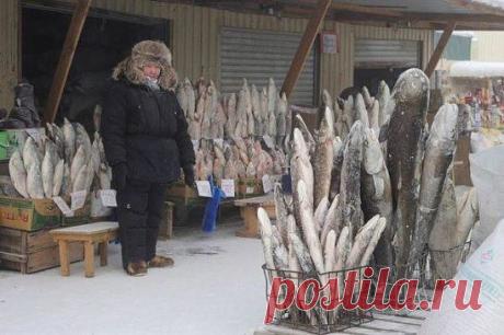 Вот это да !!! Якутск. Зима. Рыбные ряды рынка.