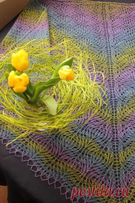 98501696_large_IMG_6862.JPG (466×699)