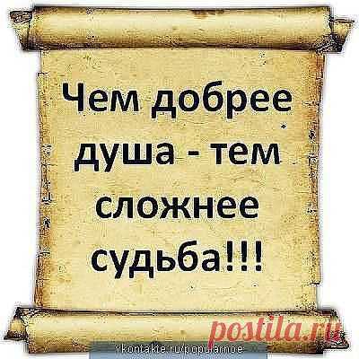 КАДНИКОВ  КСХТ
Василий Бенца