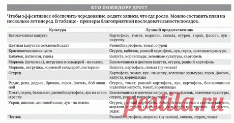 севооборот овощных культур на дачном участке таблица: 5 тыс изображений найдено в Яндекс.Картинках