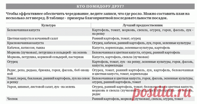 севооборот овощных культур на дачном участке таблица: 5 тыс изображений найдено в Яндекс.Картинках