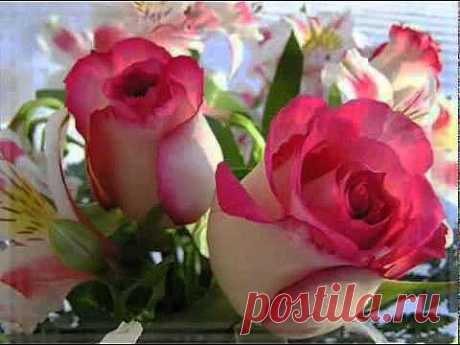 поздравления с днем рождения женщине - 102 . роликов. Поиск@Mail.Ru