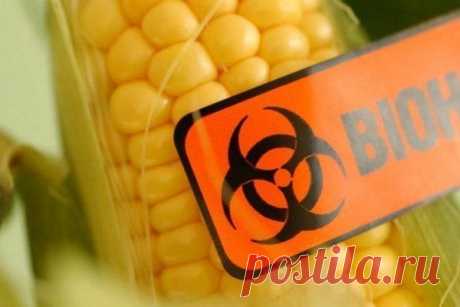 Чёрный список производителей ГМО-продуктов.