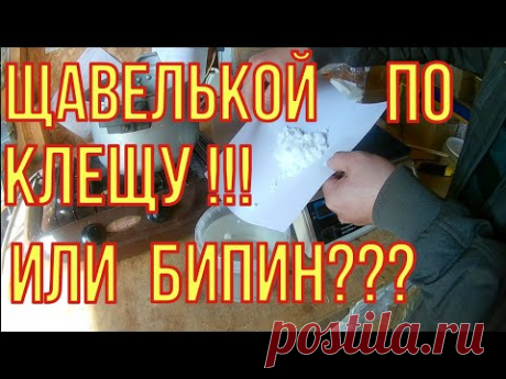 Обработка пчёл от клеща. Щавелевая кислота или бипин. Сравниваем эффективность!