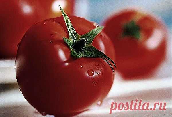 Хотите помидор - купите...трихопол!.
