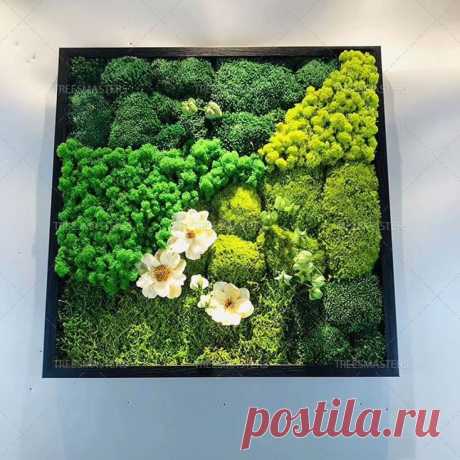 Мох стабилизированный это как Рукоделие для дома своими руками. Мастер-классы, уроки и креативные идеи.