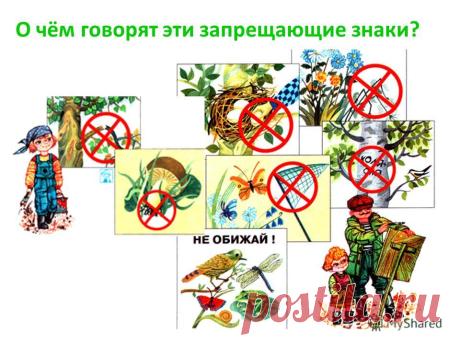 Знаки охраны природы в картинках для детей (27 фото) ⭐ Забавник