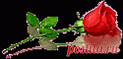 ФОРУМ   ПЛЕЯДЫ/СТОЖАРЫ &bull; Просмотр темы - Медитации