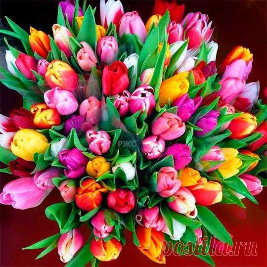 Поздравляем с Днём рождения всех, кто родился сегодня - 23 февраля!😘😘😘