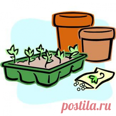 Календарь огородника на февраль - Журнал &quot;Культура загородной жизни&quot;
