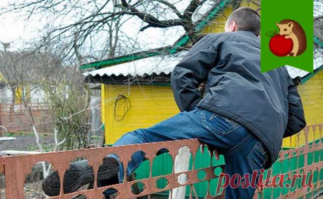 Как защитить дачу от воров зимой: 3 глупых (и даже вредных) совета, которые не работают | садоёж | Дзен
