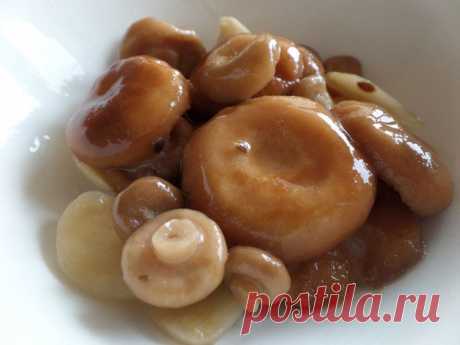 Солёные розовые волнушки | Интересные рецепты