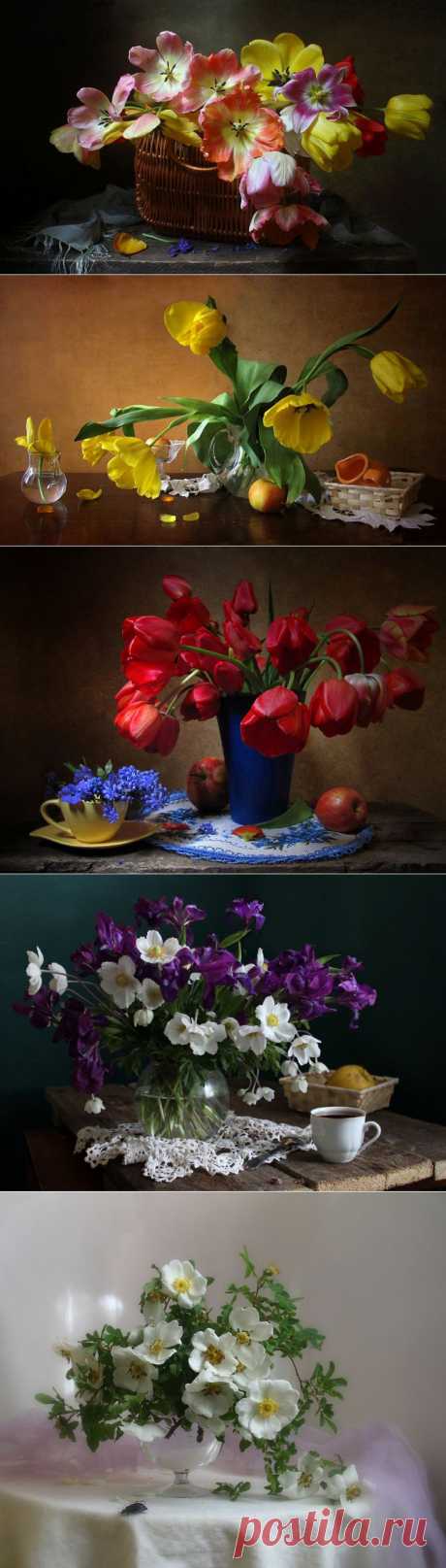 Фотонатюрморты Филатовой Марины - Весне навстречу.