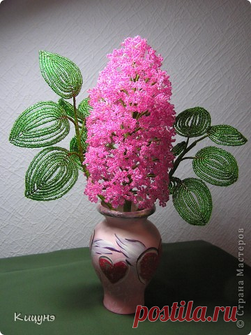 Ветка сирени