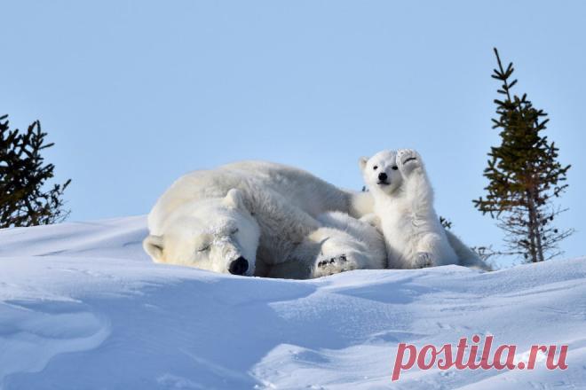 Подборка фото номинантов премии 