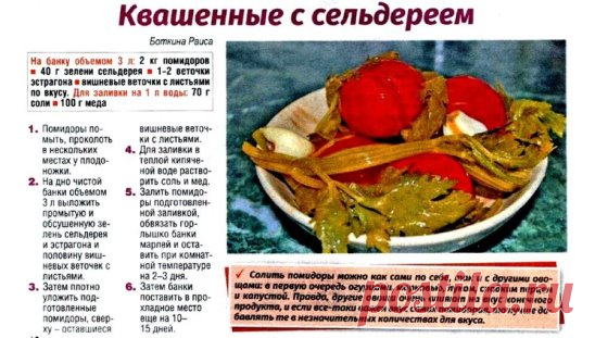 ПОМИДОРЫ С СЕЛЬДЕРЕЕМ.