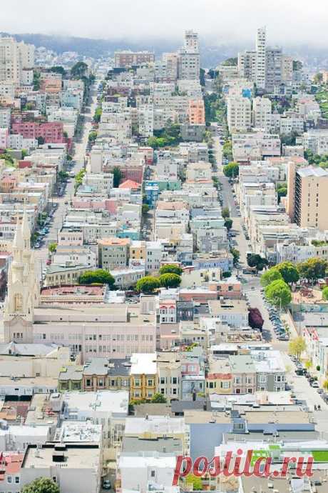 San Francisco | California Dreamin'