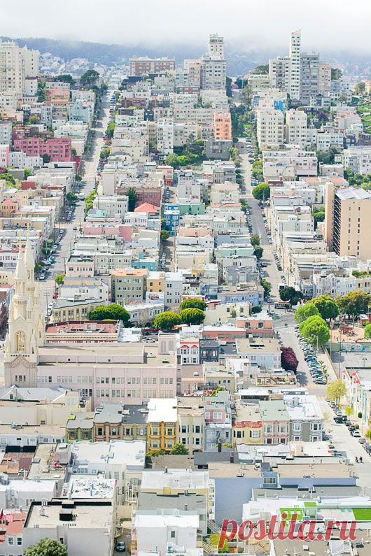 San Francisco | California Dreamin'