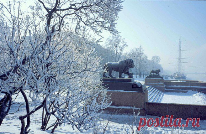 В Питер пришла зима