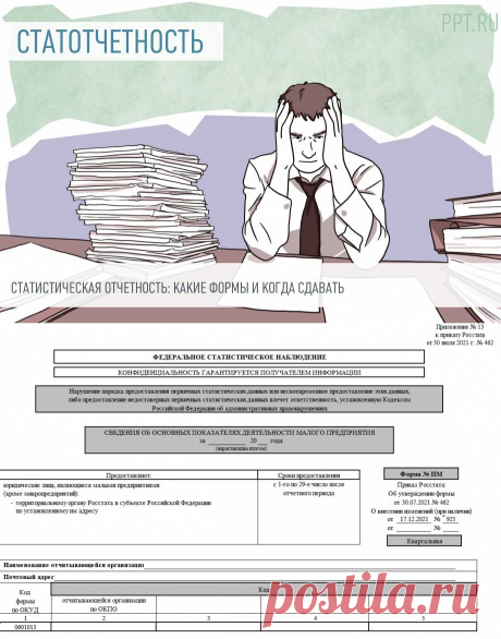 НА 2023-Заполнение форм статистической отчетности в 2022 году. Статистическая отчетность и ее виды