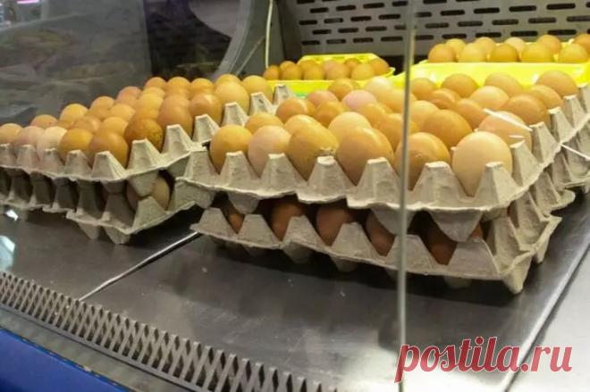 Вы не поверите: что творят с лотками в Европе? Пока мы выбрасываем тару из-под яиц – они экономят тысячи . Вот что обычные люди бездумно отправляют в мусор! Пустые бумажные лотки из-под яиц таят в себе огромный потенциал для садоводов и огородников. 