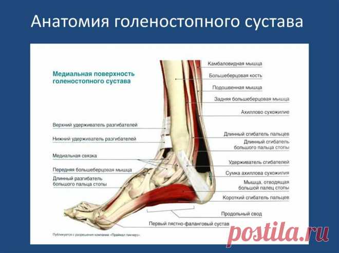 Упражнение 