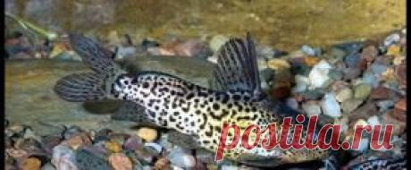 Мирный - Part 2