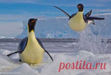 Существует принципиальное различие между игрой, которую вы ведете, чтобы не проиграть, и той, в которой вы хотите выиграть. Тот, кто старается не проиграть, зацикливается на риске и опасностях. Тот, кто нацелен на выигрыш, видит перед собой возможность победы