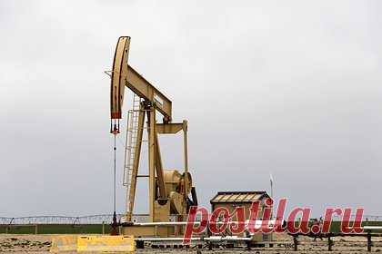 В Британии сообщили о дилемме Индии из-за российской нефти