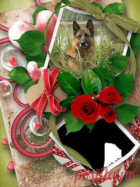 (47) Одноклассники