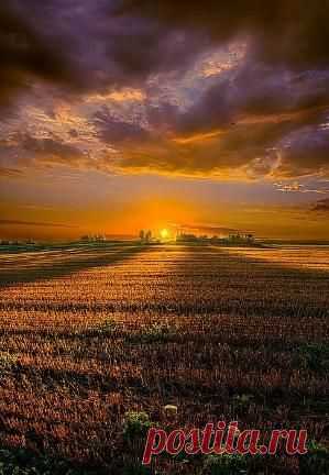 sunrise Search on Indulgy.com